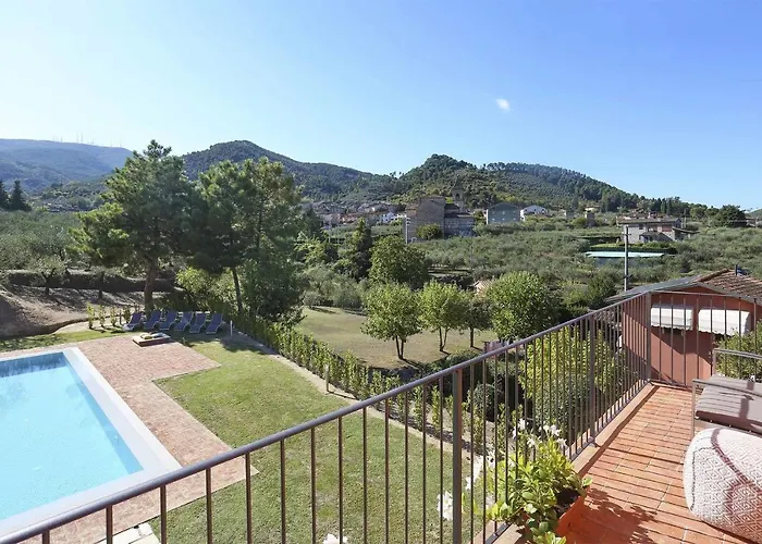 Uva By Salogi Capannori