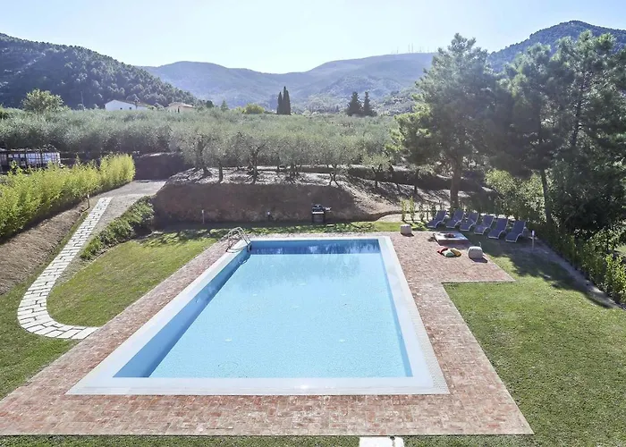 Uva By Salogi Capannori